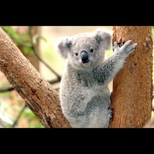 Meet your Posher, Madeleine